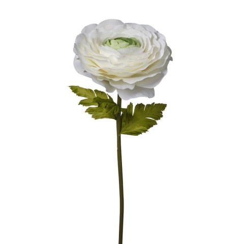 RAMO RANUNCOLO CM138 CREMA